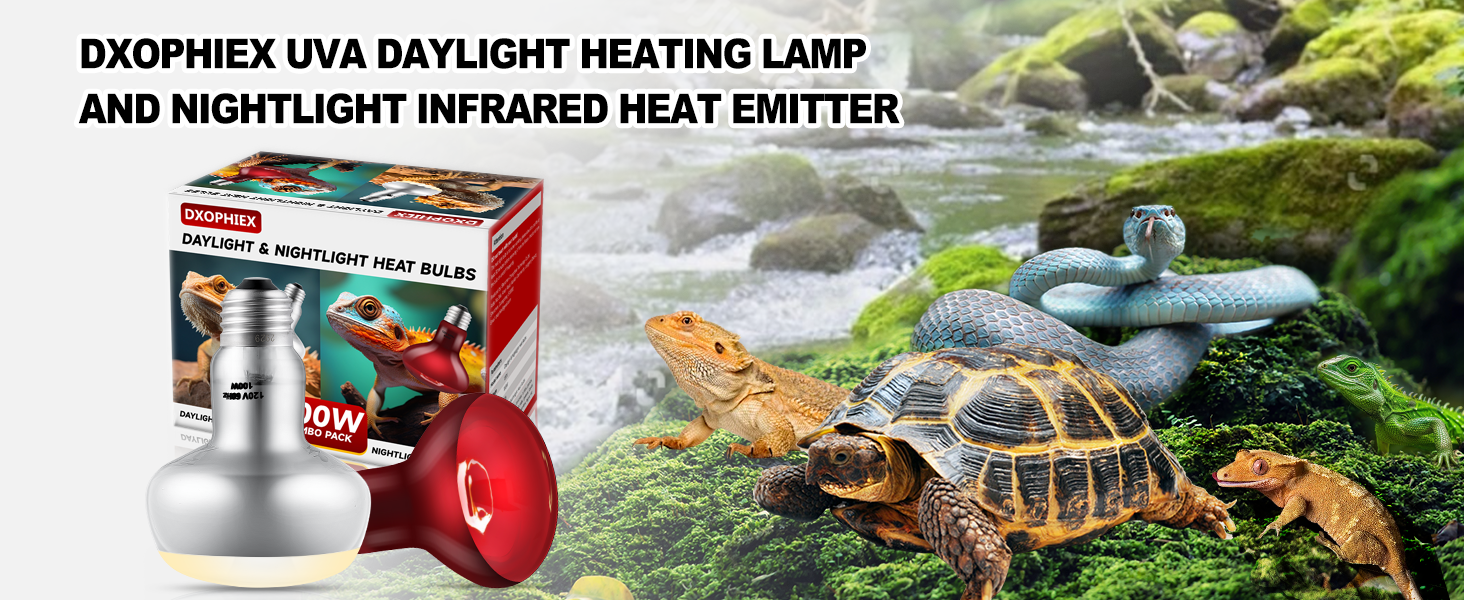 reptile heat bulb