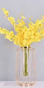 花瓶 ガラス瓶 インテリア 花器 花飾り 金属枠 透明 花器 テラリウム容器 田園 水耕栽培 栽培キット フラワーベース 北欧 花 植物ポット リビングルームの装飾 店飾り  プレゼント