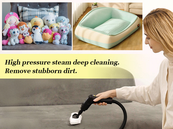cleaning steamer handheld, car detailing steamer, tile and grout steam cleaner