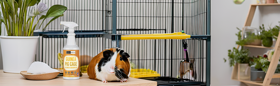 Image generated for ASIN B0DKGBXLJG