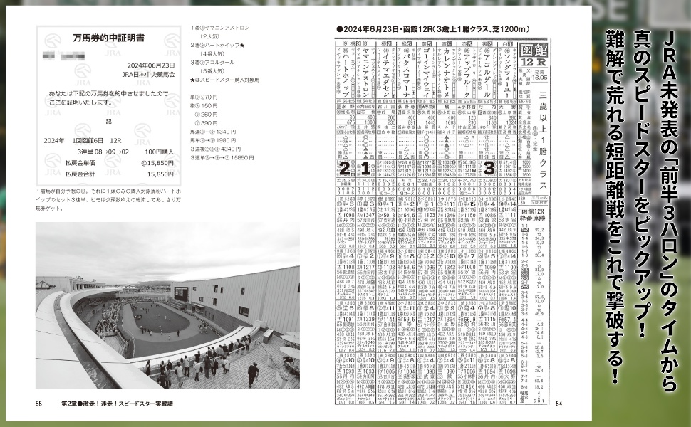 短距離特化馬券術スピードスター (革命競馬) | 中山カルタ |本