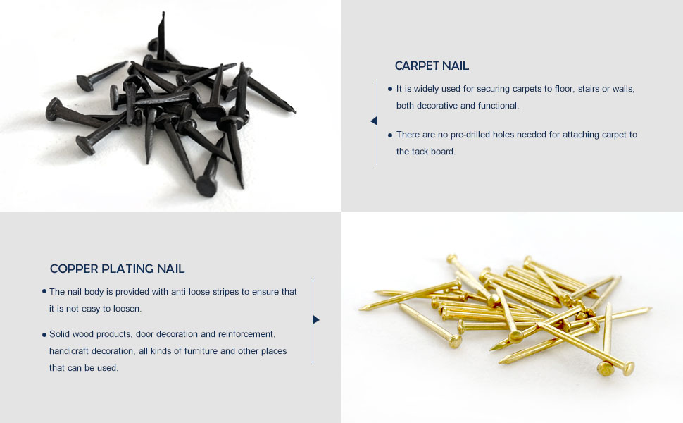 556 PCS Nail Assortment Set Flat Head Nails, Small Head Nails, Twist