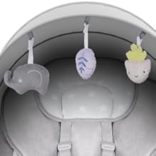 Colorful Hanging Toys