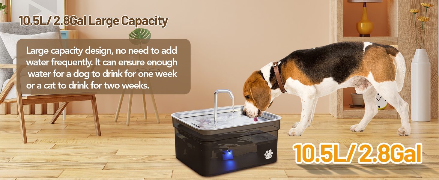 large dog water bowl dispenser