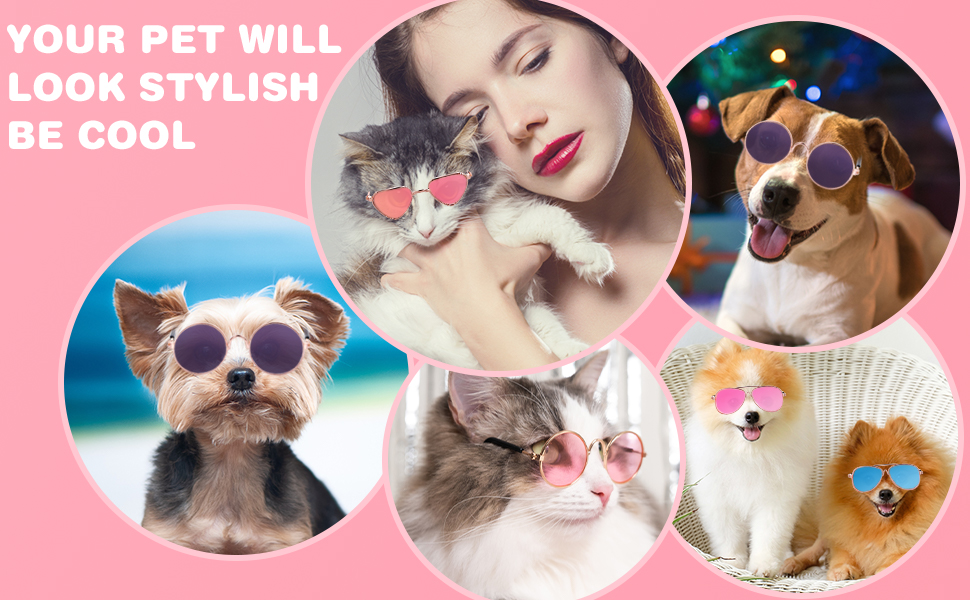 Süße Katzen-Sonnenbrille.