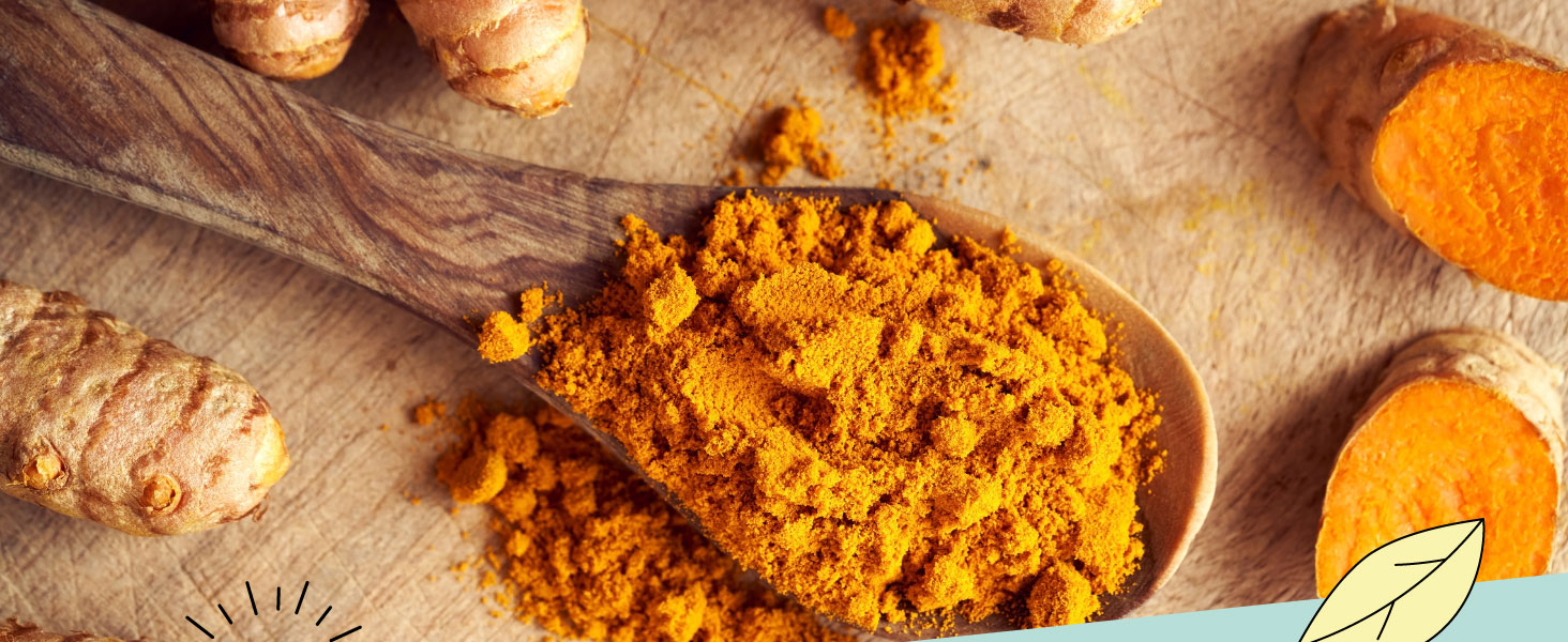 Turmeric powder - Alpi Nature