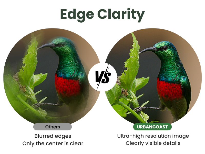 Edge Clarity