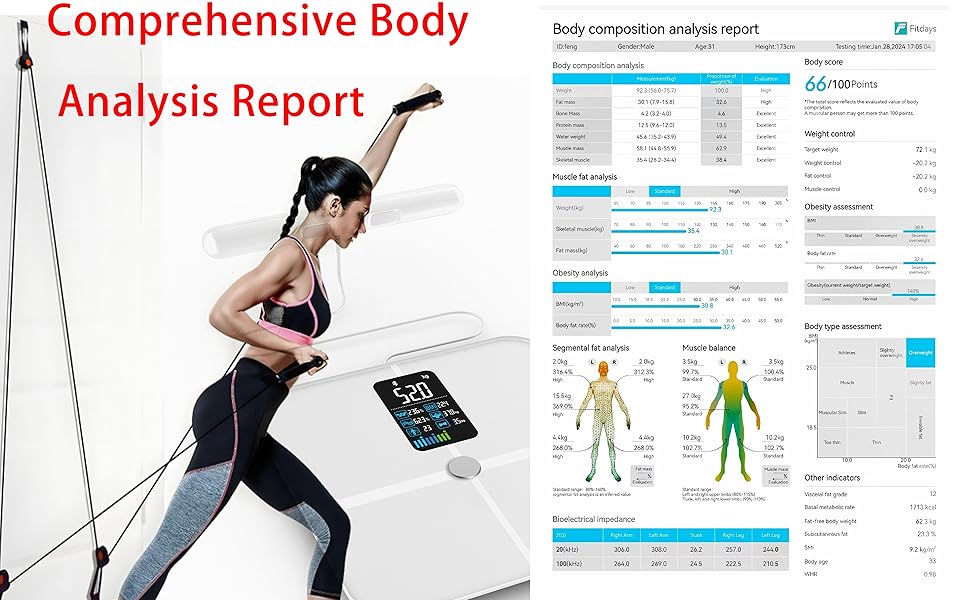 Comprehensive Body Analysis Report
