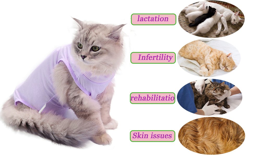 Seks porno tube ru Ogil bola ogil bolani soradi