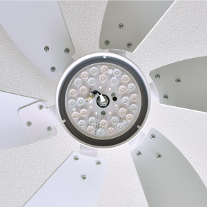 Pula22 シーリングファンライト あす着] シーリングファンライト 傾斜天井対応 LED リモコン付き