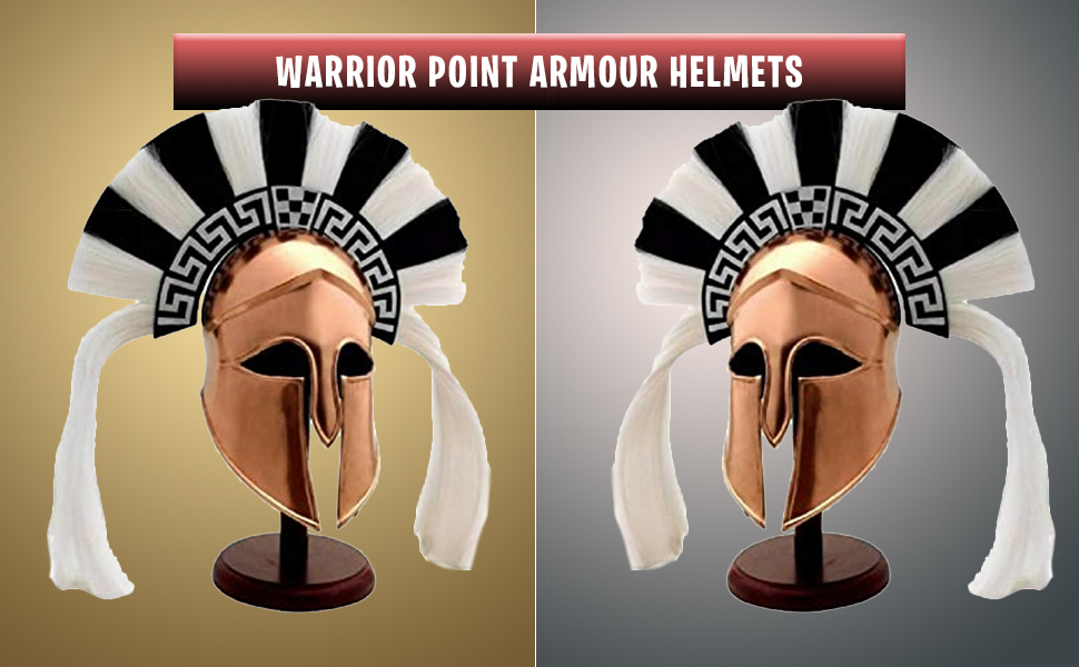 Warrior point Helmet