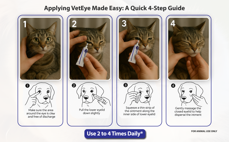 Cat eye treatment, Iritis in pets, Keratitis in dogs and cats, Conjunctivitis (pink eye) in animals
