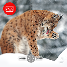 TOGUARD trail camera