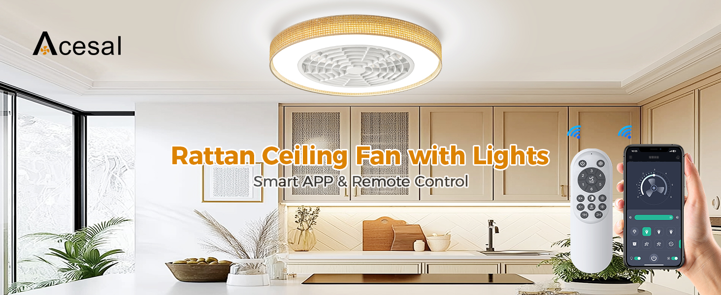 rattan ceiling fan