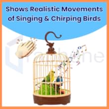 Singing Moving Chirping Beautiful Electronic Bird Pet Toy