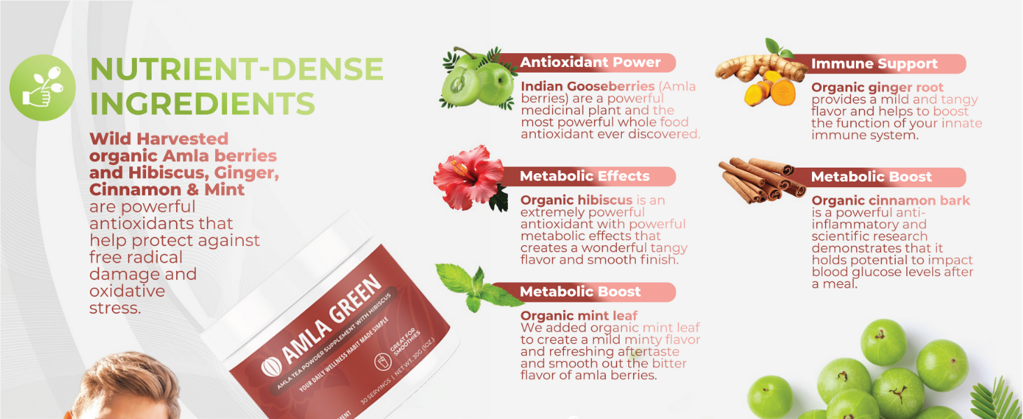 Amla Green powder indian gooseberry hibiscus