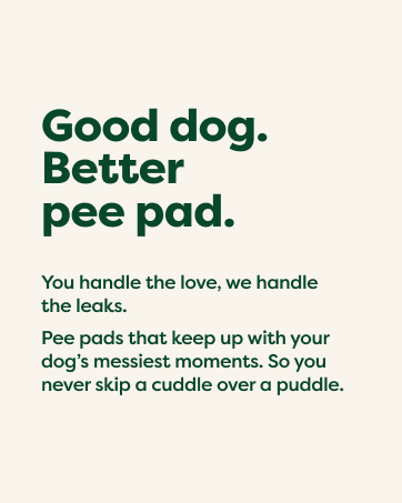 puppy pads, pee pads for dogs, dog pads, dog pee pads, pee pads, wee wee pads for dogs, potty pads