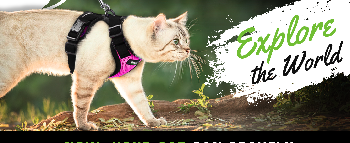 Cat harness all Breeds