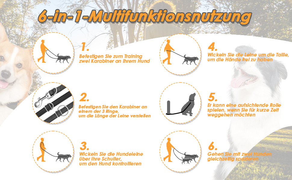 Freihandleinen für kleine & mittelgroße Hunde