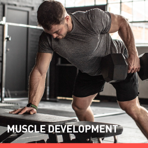 Muscle Development