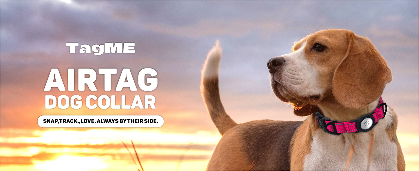 airtag dog collar