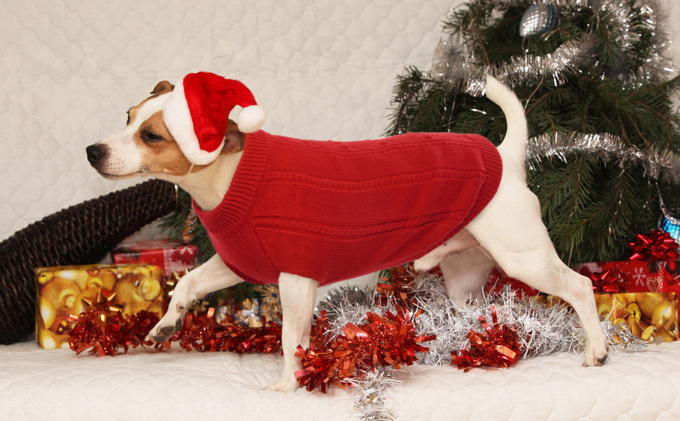 Hjyokuso Dog Jumper for Small Medium Large Dogs, Dog Pullover Sweater