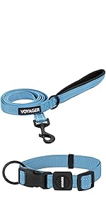 voyager leash and collar