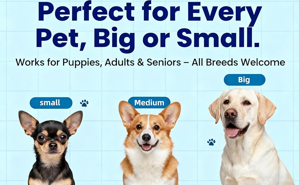 Collagen for Dogs 03