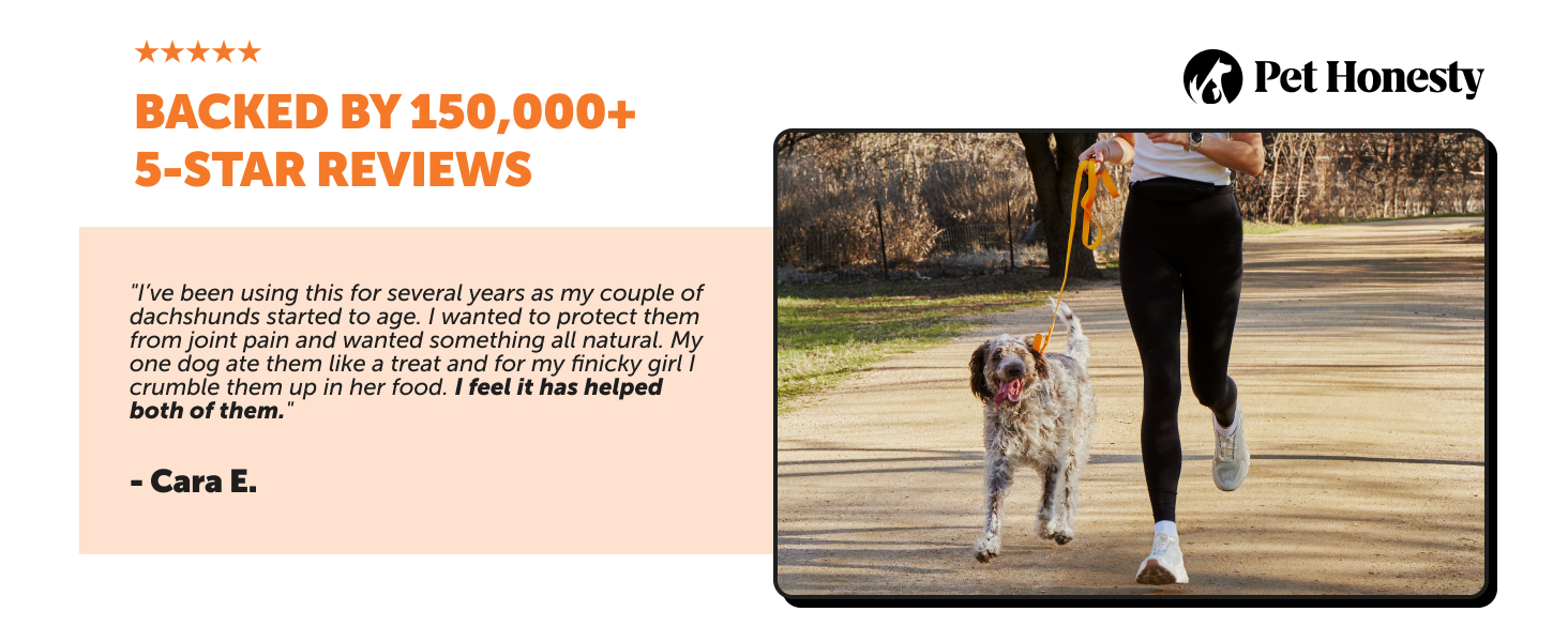 joint supplement for dogs