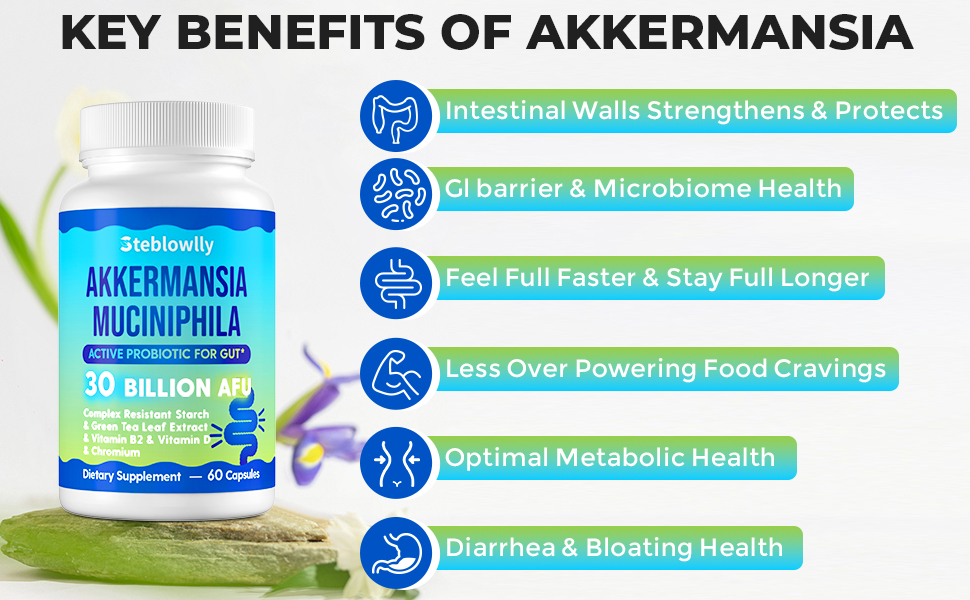glp-1 glp-1 probiotic akkermansia probiotic akkermansia akkermansia muciniphila glp-1 activation