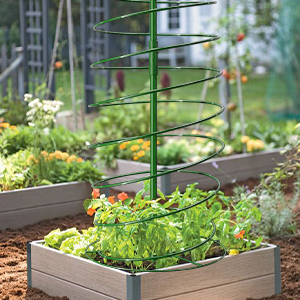 Tomatoes Planters Cage 2 Pack Pea Bean Trellis Green for Garden Tower Stretchable with Poles Stake
