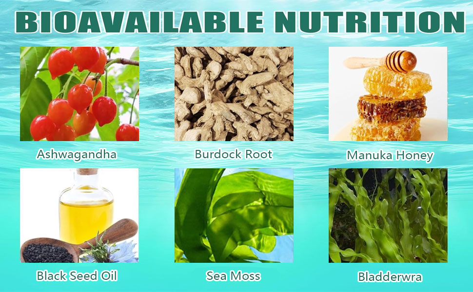 Sea Moss Gummies 16-in-1