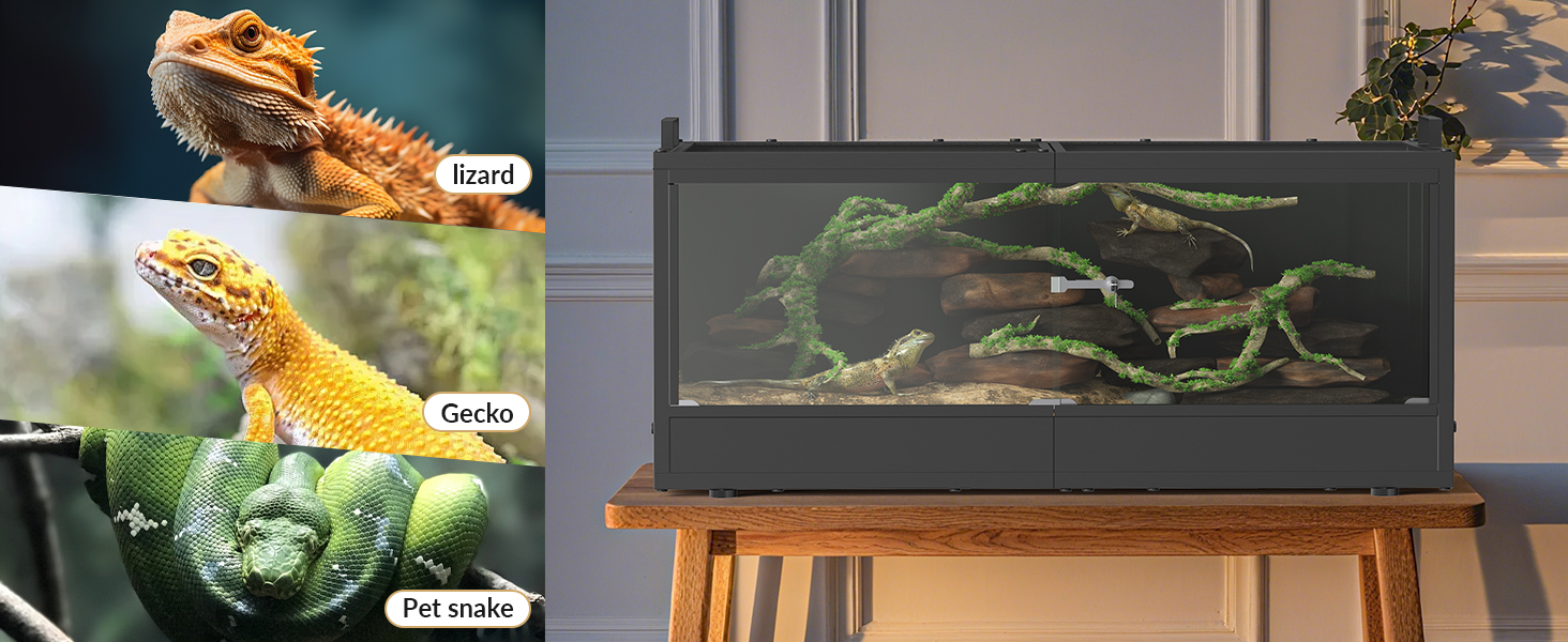 Tempered Glass Tank 20 Gallon