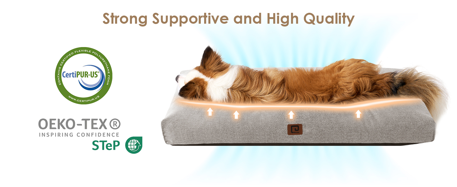 dog bed