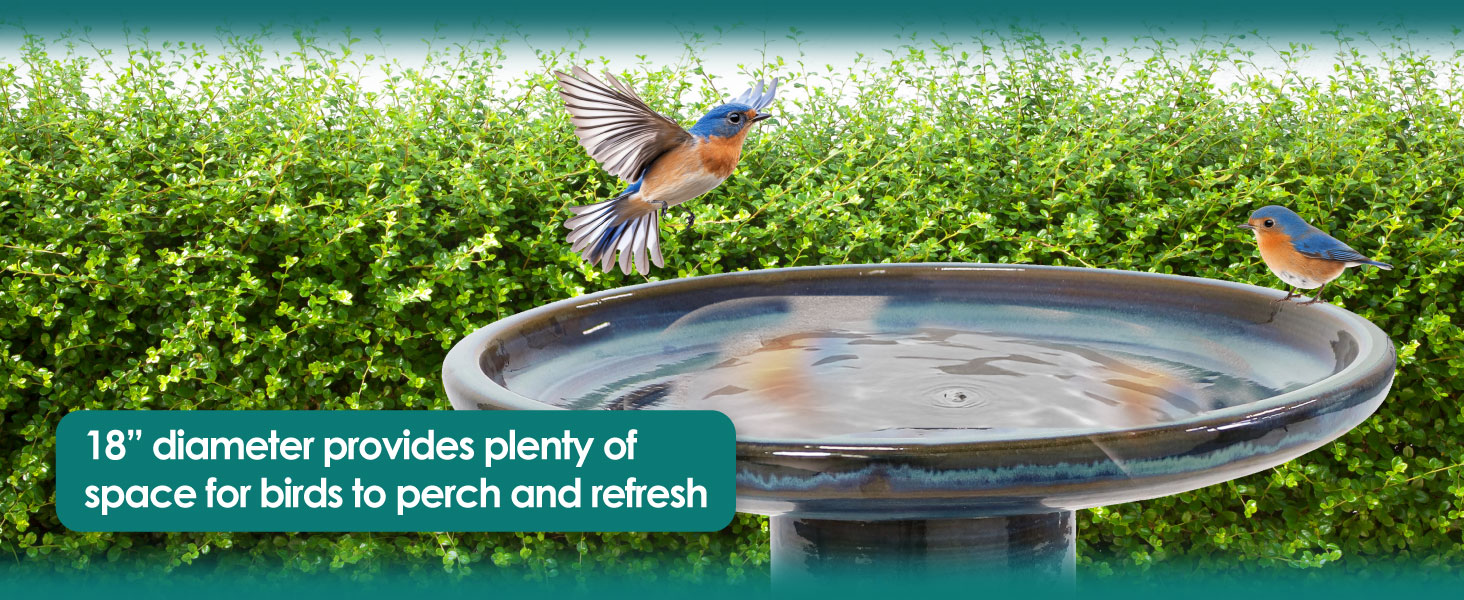 18" diameter provides plenty of space for birds to perch and refresh