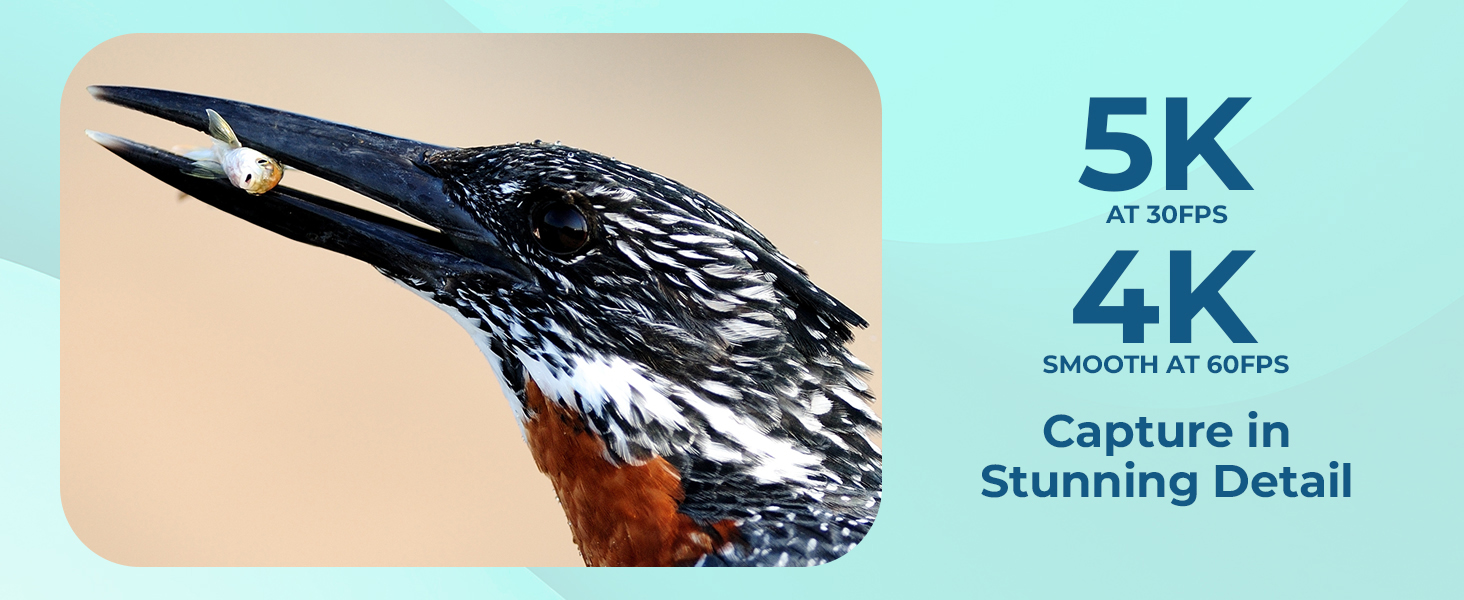 Capture in Stunning Detail - Desktop View