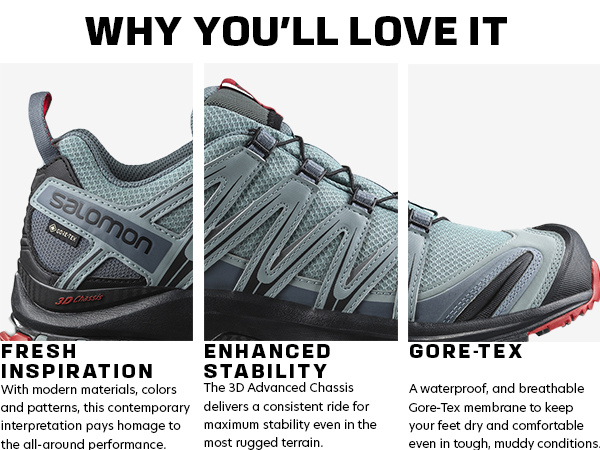 Amazon.com | Salomon Men's XA PRO 3D Gore-Tex Waterproof