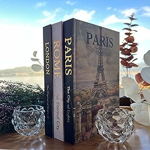 faux book