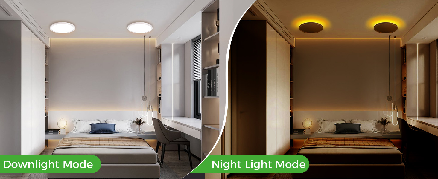 led ceiling light