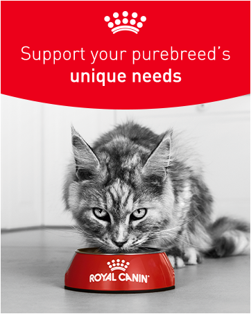 support your purebreed&#39;s unique needs