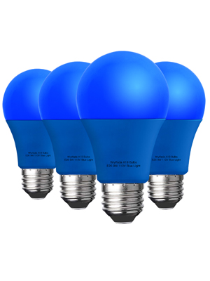 blue bulb