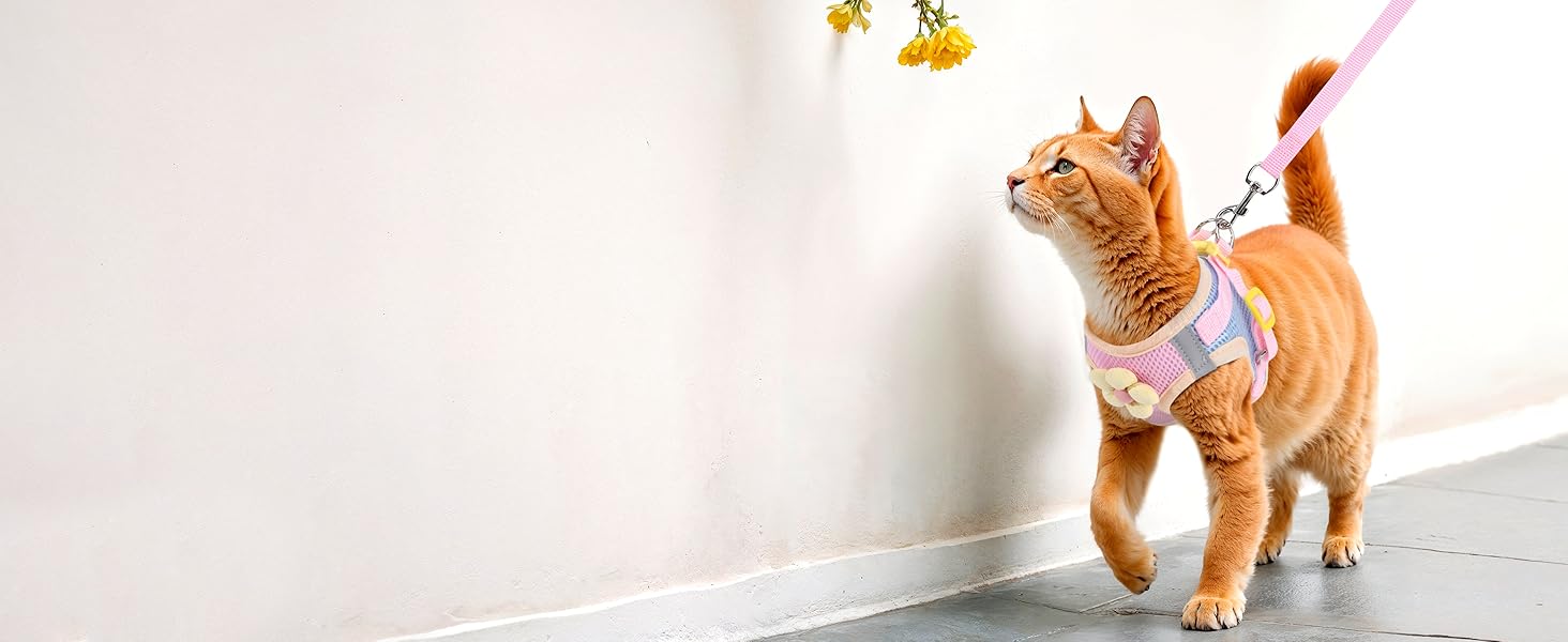 Cat Harness and Leash Set