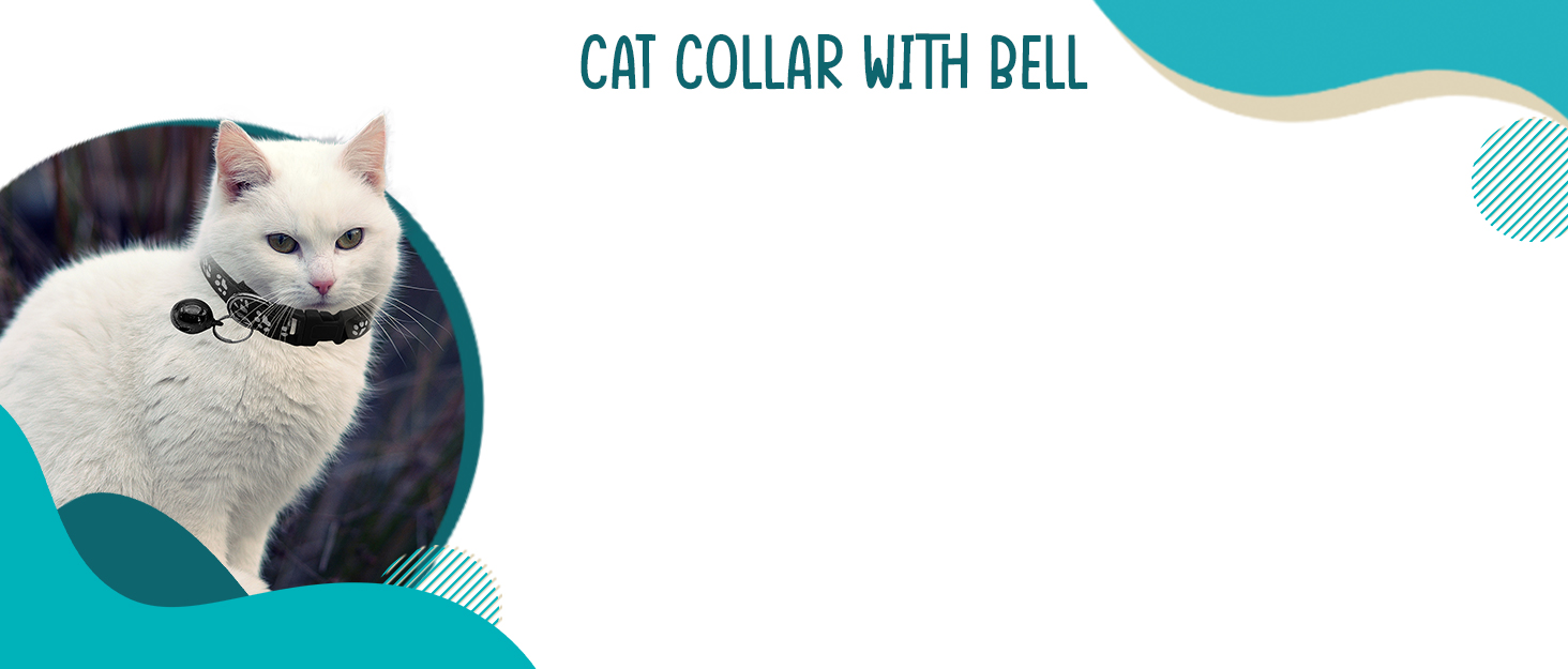 Cat Coller 