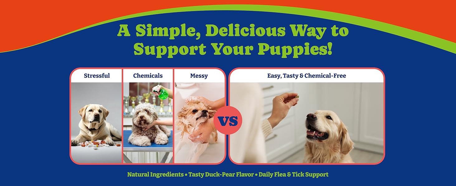 flea and tick prevetion for dogs