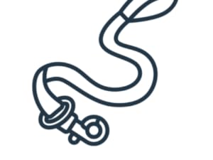 dog food dental chews comida de perro treats puppy