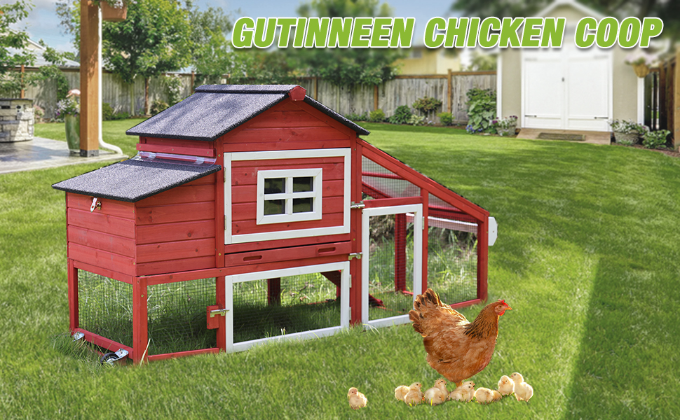 chicken coop