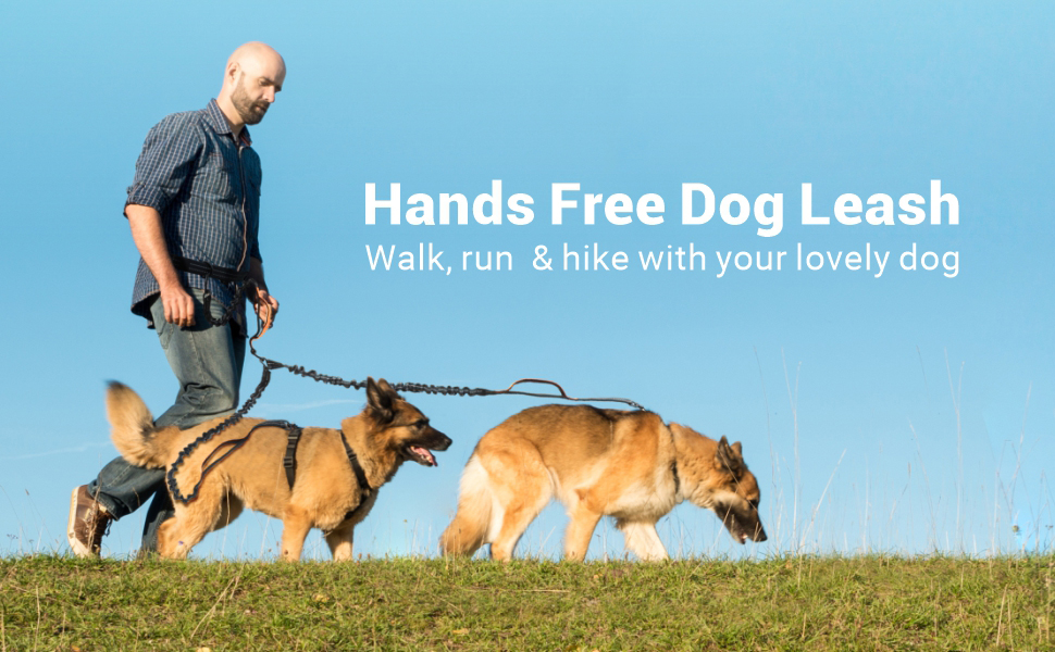 Fcolor Hands Free Dog Leash for 2 Dogs Reflective Running Dog Leash