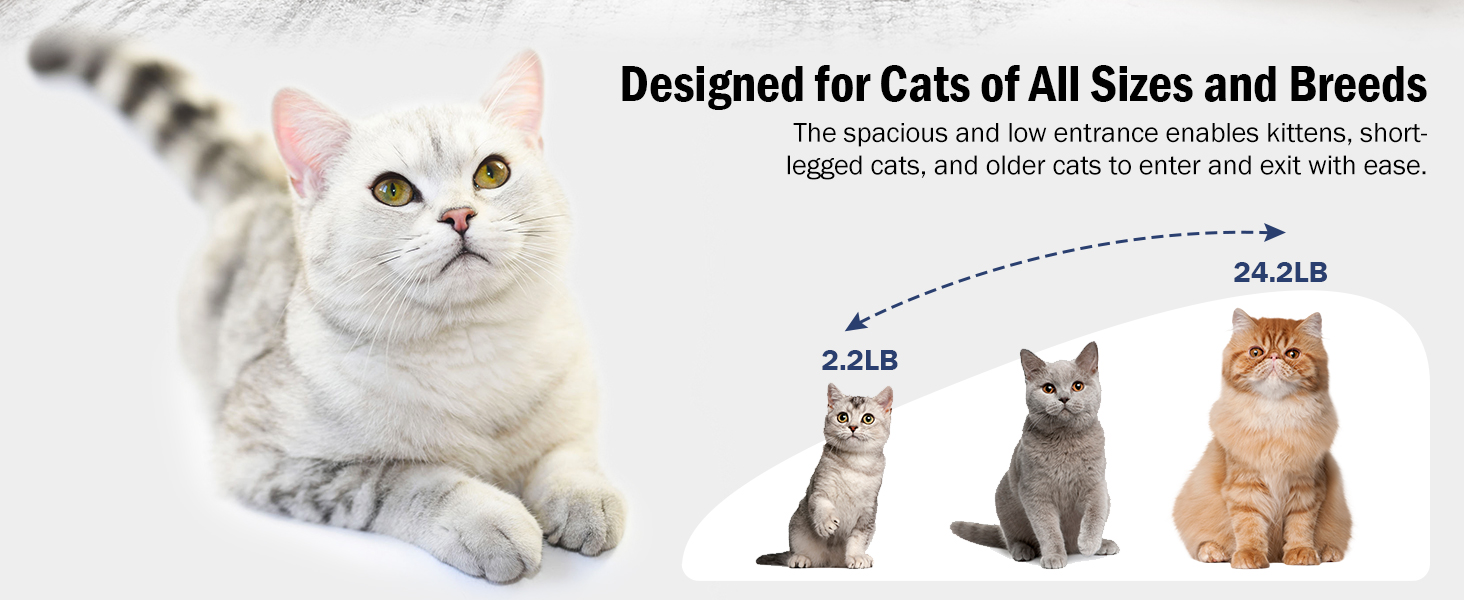 self cleaning cat litter box