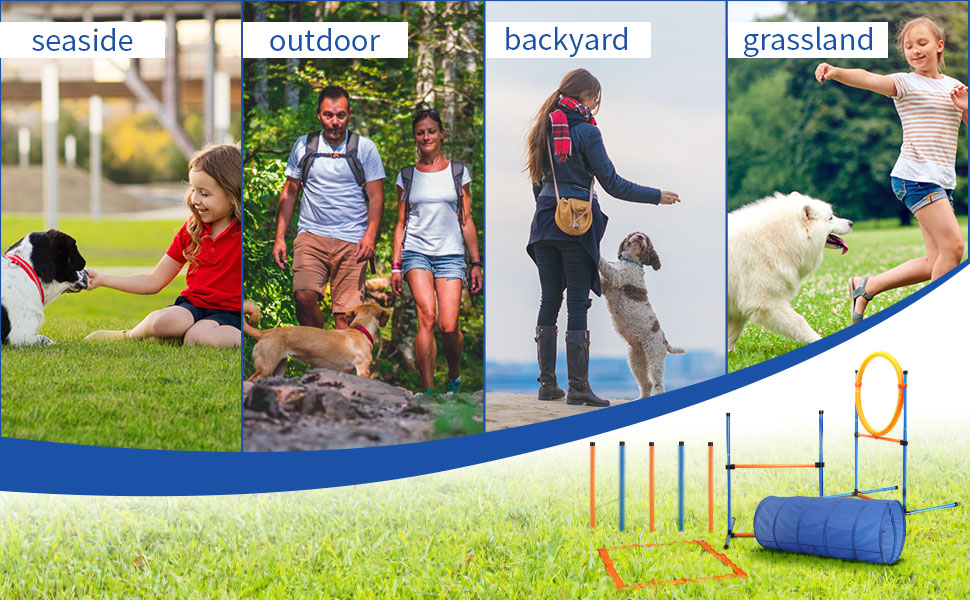 Dog Agility Training Obstacle Course Kit