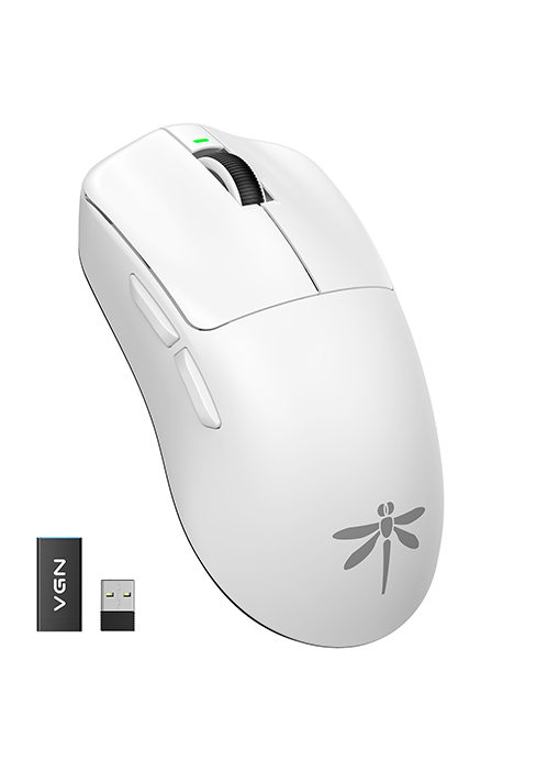 mouse